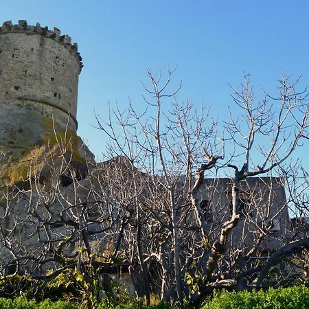 L'agrumeto * Forio di Ischia